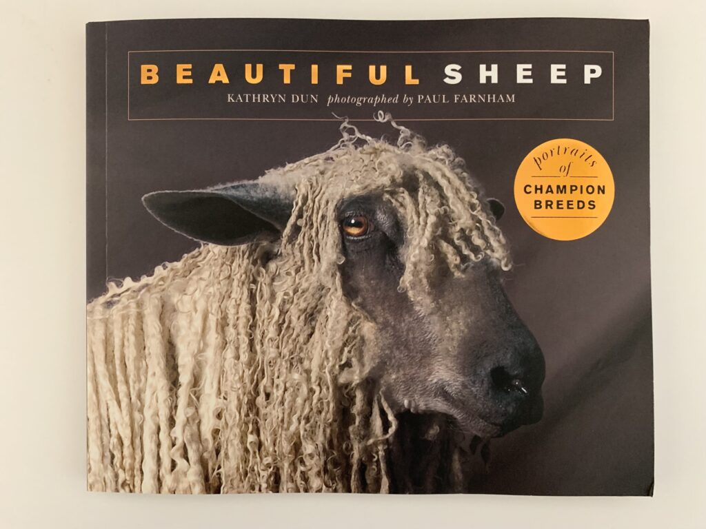 the cover page of "Beautiful Sheep" by Kathryn Dun, Ivy Press 2020